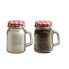 Moondance Mason Jar Salt & Pepper Shaker Set - Red