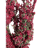29" Frosted Berry Cluster Spray