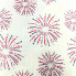 Fireworks Over Mitt