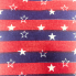 Stars & Stripes Oven Mitt