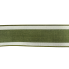 2.5" x 10yd Moss Green with White Border Ribbon