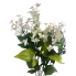 24" Lilac Bush - White