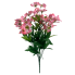 21" Perunian Lily Bush - Pink
