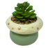 7" Artificial Succulent in Mushroom Planter- Beige and Green