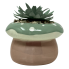 7" Artificial Succulent in Mushroom Planter- Green and Brown