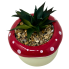 7" Artificial Succulent in Mushroom Planter- Red and White