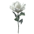 29" Snowy Magnolia Stem