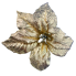 22" Gold Poinsettia Bush