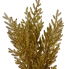 21" Glitter Gold Pine Bush