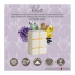 Relax Aromatherapy Wax Melts - 6 cubes