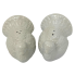 Turkey Salt & Pepper Shaker Set