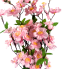 Plum Blossom Bush - Light Pink