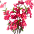 22" Plum Blossom Bush