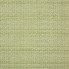Hybrid-Lime_42077-0000.jpg