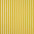 Shore-Citron_58034-0000.jpg