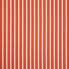 Shore-Flame_58031-0000.jpg