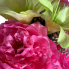 22" Pink Carnation Mixed Bush