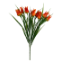 17" Miniature Wild Tulip Bush- Orange
