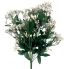 16" Baby's Breath Bush
