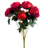 17" Cabbage Rose Bush - Red