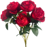 17" Cabbage Rose Bush - Red