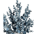 19" Frosted Blue Eucalyptus Bush