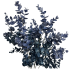 19" Deep Blue Eucalyptus Bush