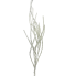 37" Swirled Beaded Spray - Cream