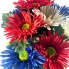 20" Red, White & Blue Daisy Bush