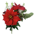 22" Poinsettia & Delphinium Mixed Bush