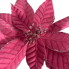 23" Pink Velvet Poinsettia