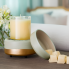 2-in-1 Fragrance Warmer - Midas