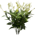 21" Clematis Leaf Bush - Two Tone Green