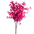 24" Tweedia Bush - Hot Pink