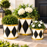 Black & White Metal Drum Planters - Set of 3