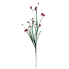 35" Wildly Perfect Twig Ball Spray - Green & Red