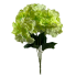 19" Cypress Hydrangea Bush