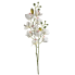 22.5" Dendrobium Orchid Spray