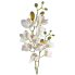 22.5" Dendrobium Orchid Spray