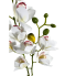 22.5" Dendrobium Orchid Spray