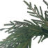 28" Norfolk Pine Wreath