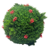 16" Custom Cedar & Berry Topiary Ball