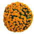 16" UV Mum Topiary Ball - Orange