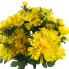 14.5" Mini Mum & Buds Mixed Bush - Yellow