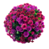 12" UV Mum Topiary Ball - Burgundy/ Purple