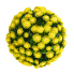12" UV Mum Topiary Ball - Yellow