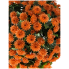 16" UV Orange Mum Bush Stake