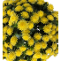 16" UV Yellow Mum Bush Stake