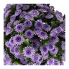 16" Wide UV Lavender Mum Bush Stake
