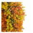 24" Round UV Protected Eucalyptus Wreath- Orange